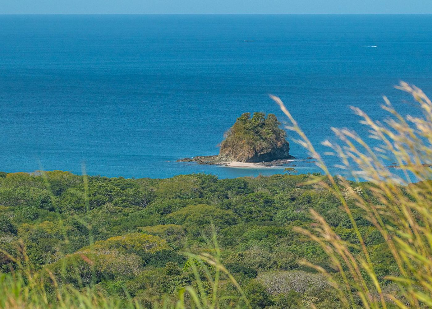 A10 - La Jolla cropped-2