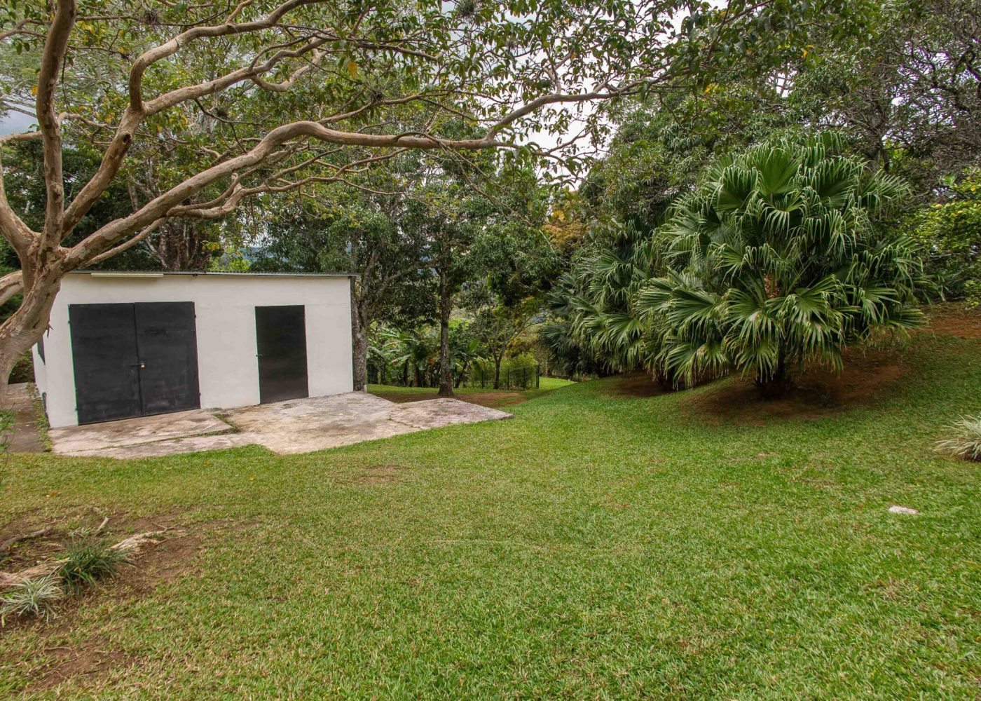 Casa Ciudad Colón - Cropped-46