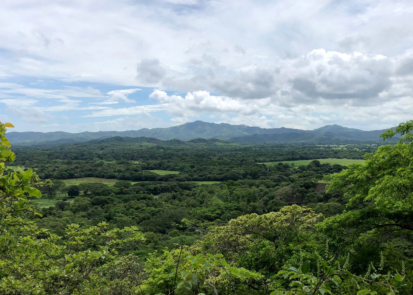 Finca Esfera cropped