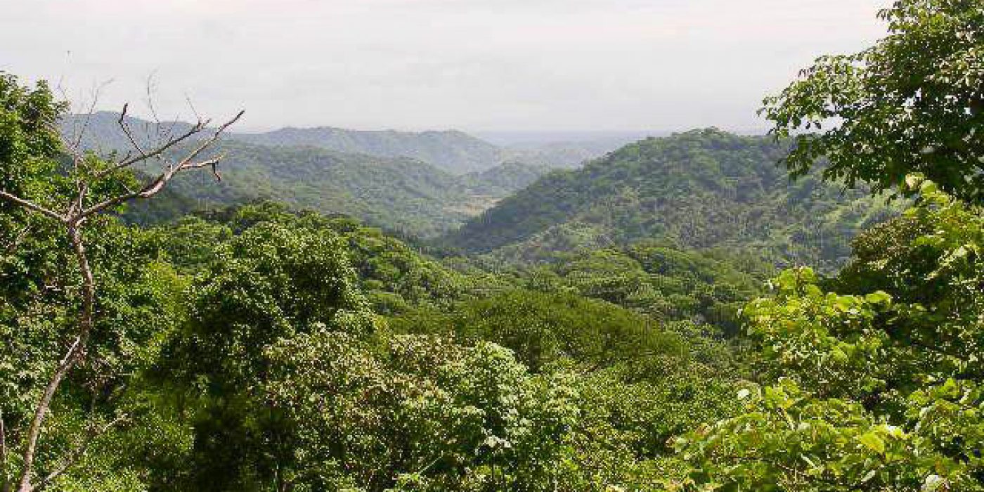 Mountain Cropped_-6