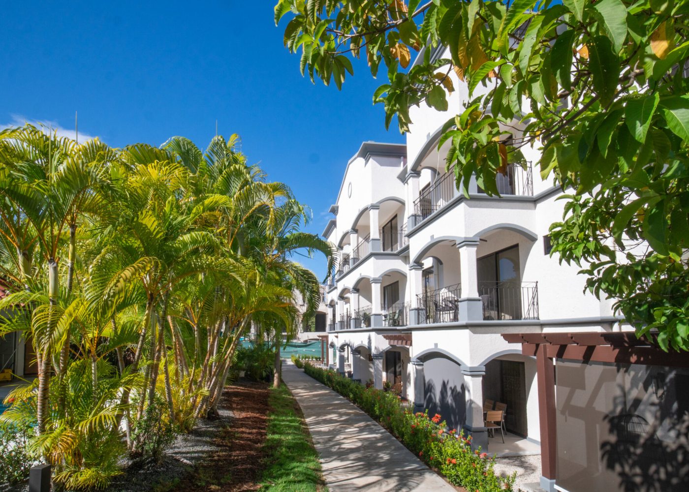 Palmas De Tamarindo outside cropped-10